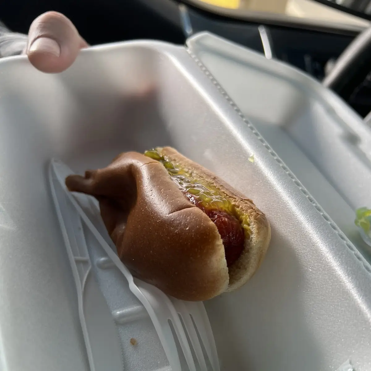 Hot Dog