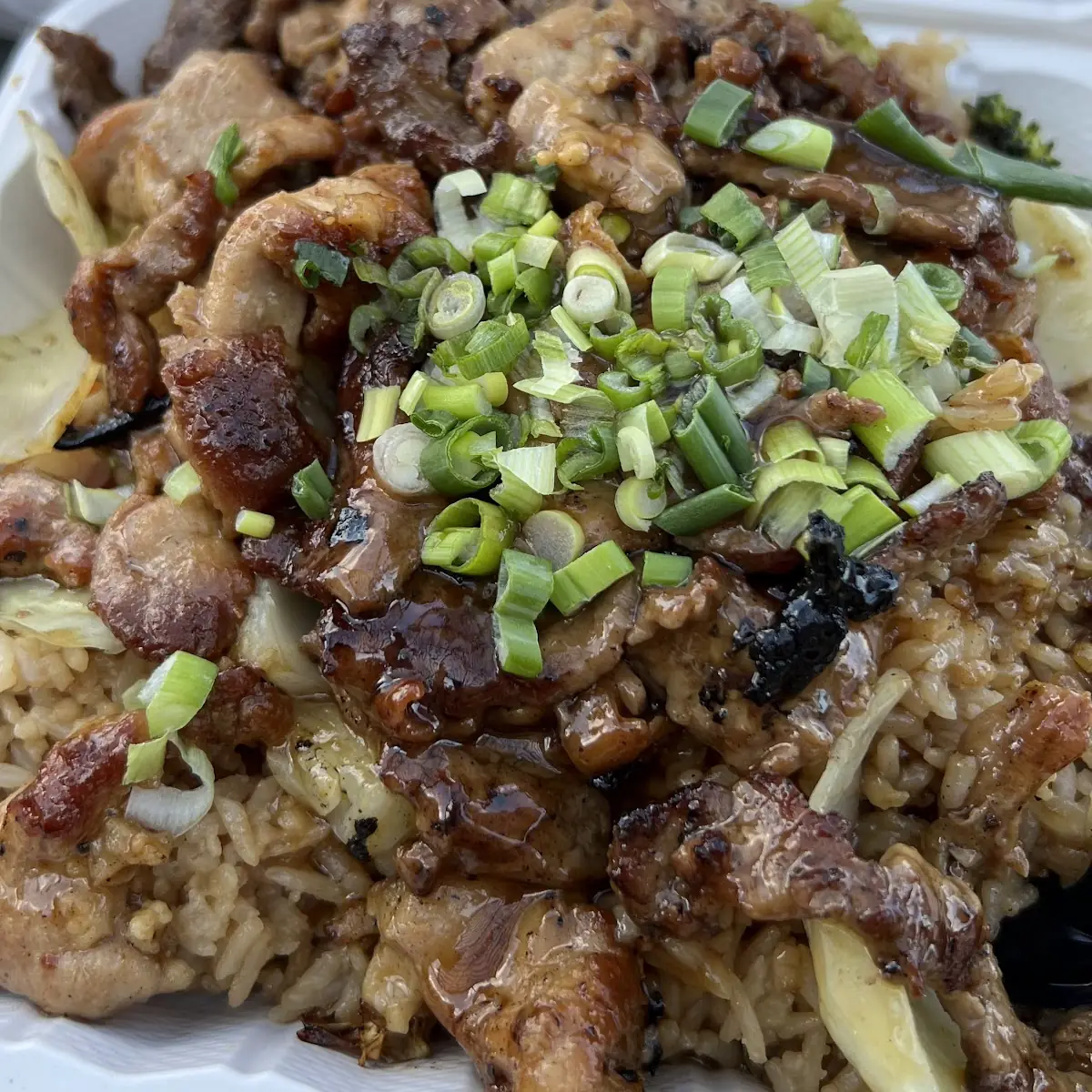 Chicken and Beef Fried Rice
