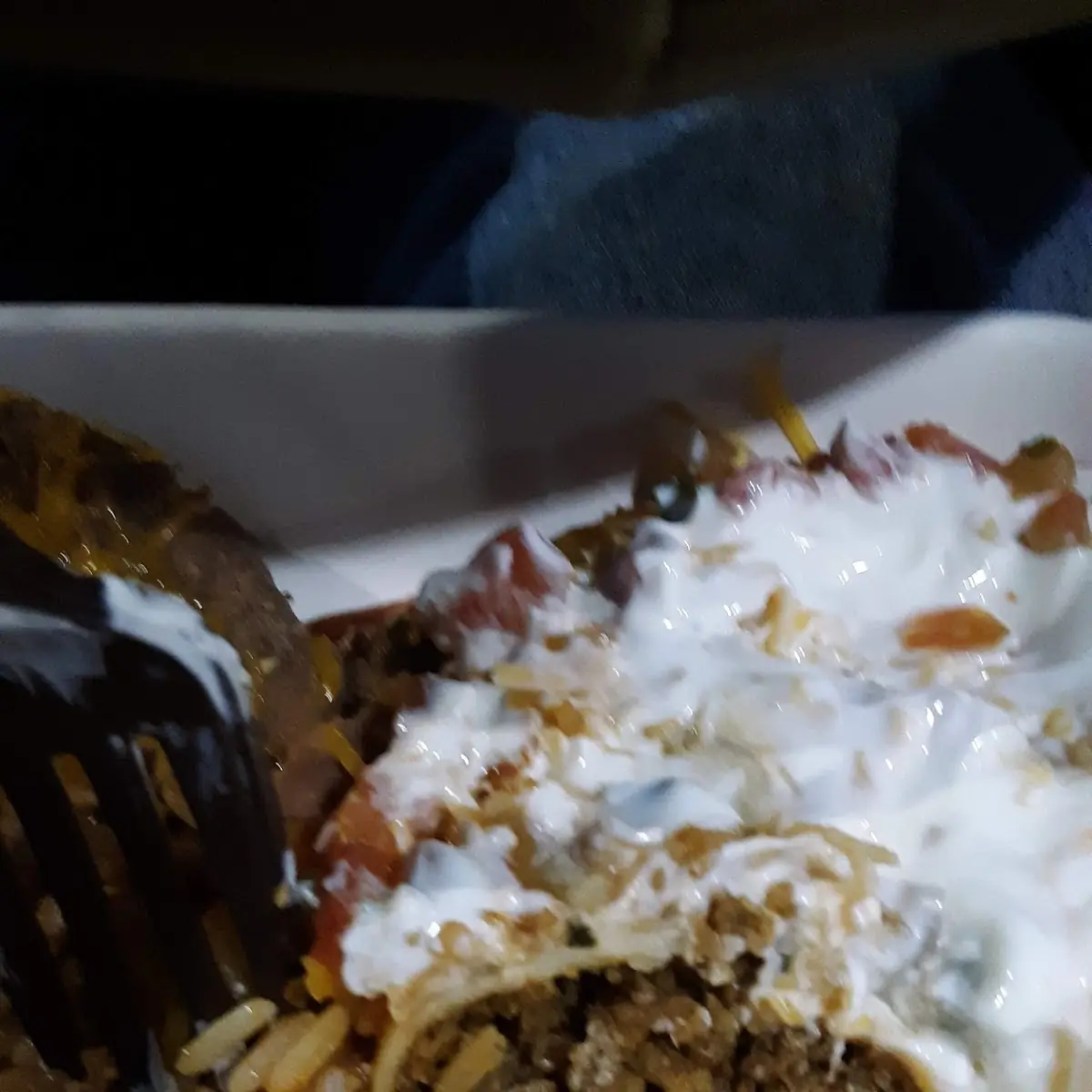Beef Burrito with Extra Sour Cream