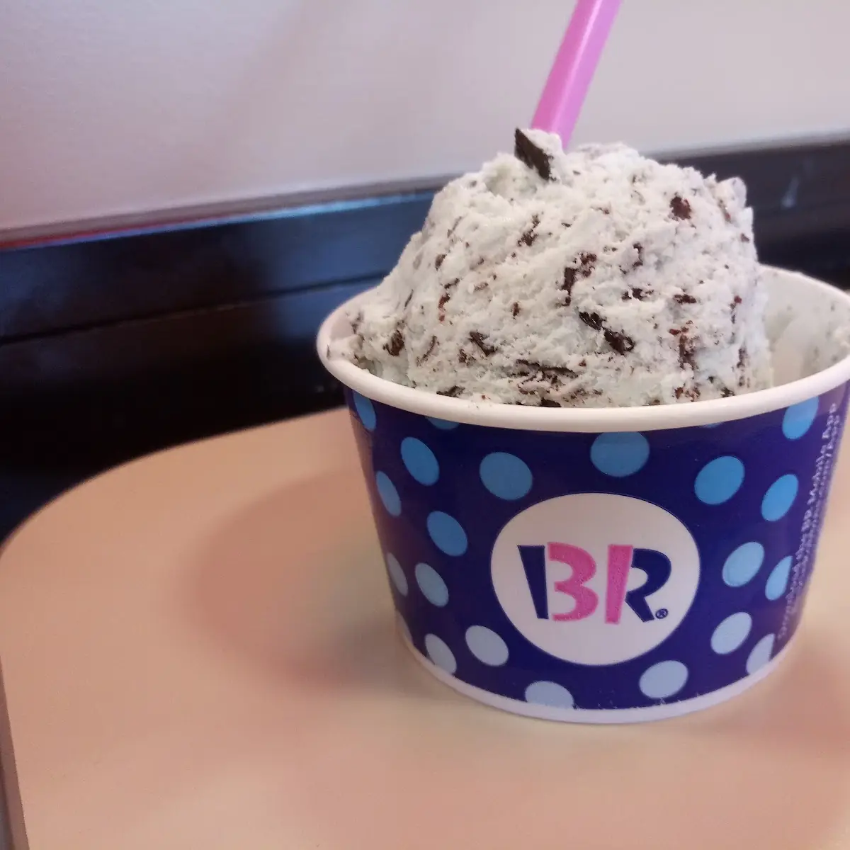 Mint Chocolate Chip Ice Cream