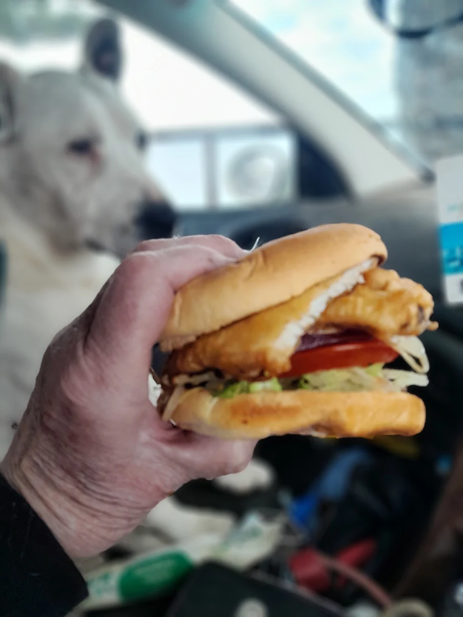 Garfish Burger, The Pantry