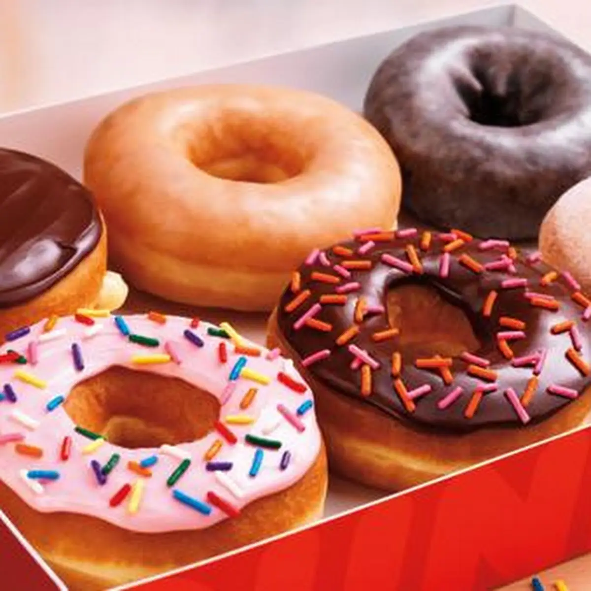 Doughnut