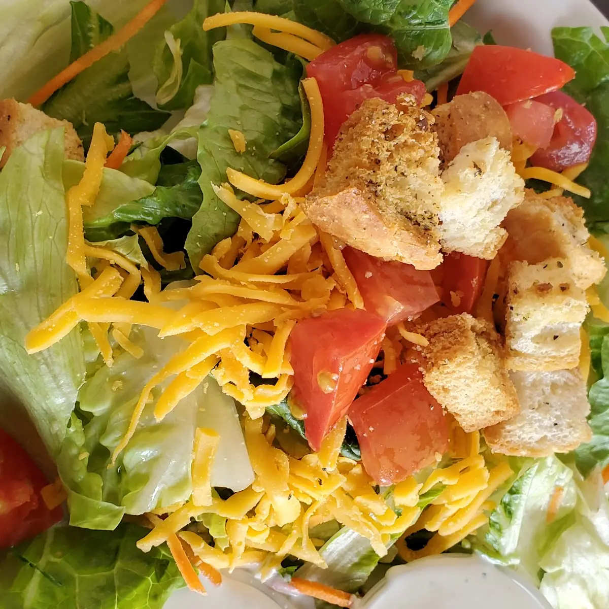 Cobb Salad