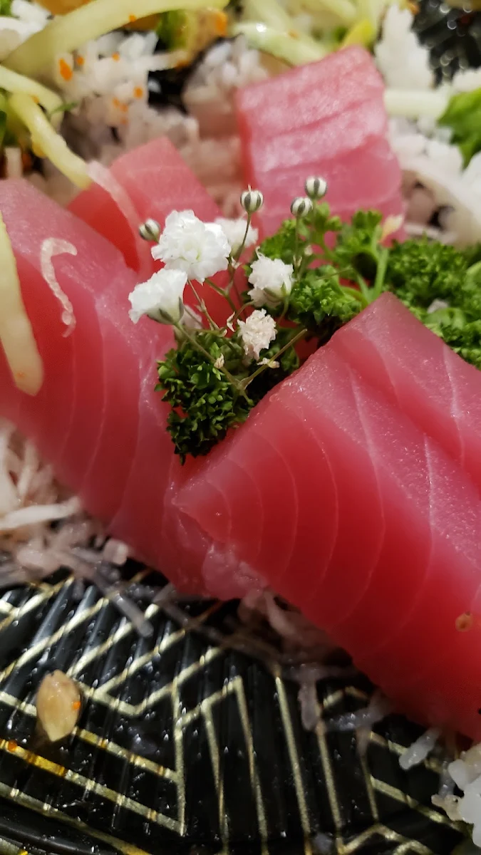 Tuna Sashimi, Kinhao Sushi