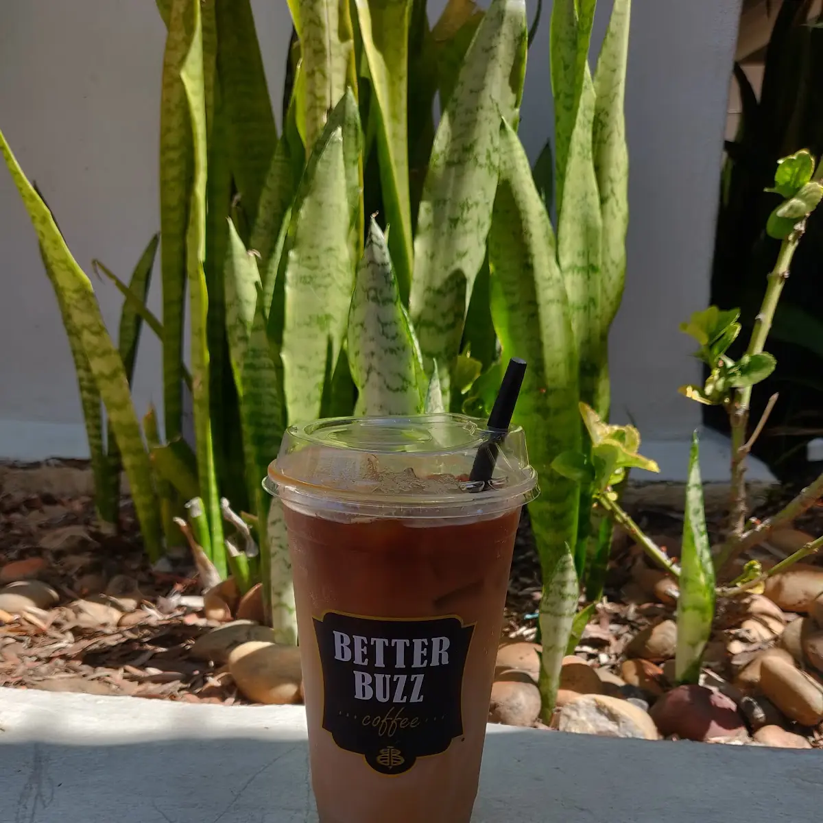 Iced Horchata Latte