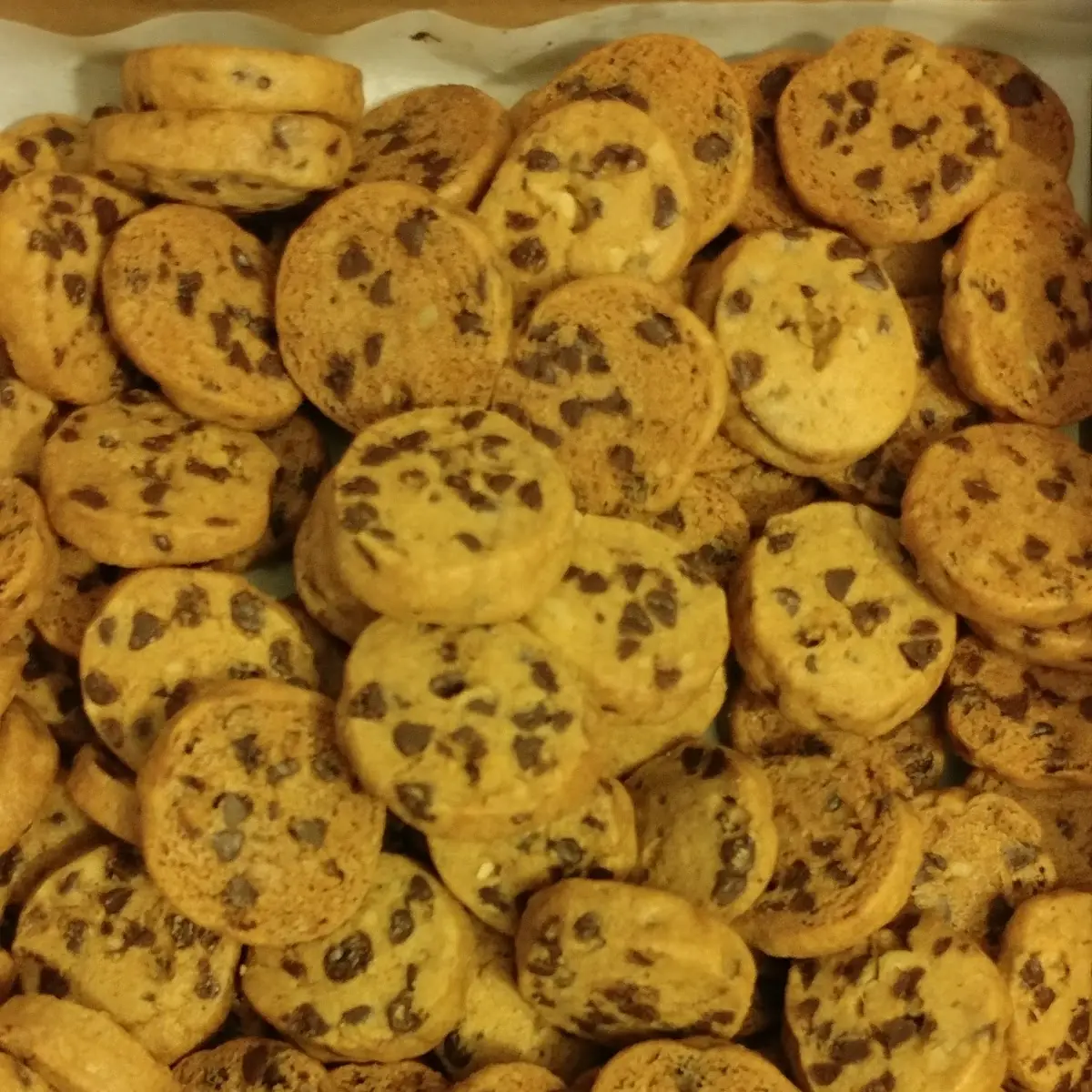 Mini Chocolate Chip Cookies