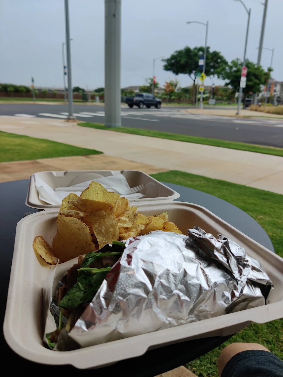Gyro Lunch