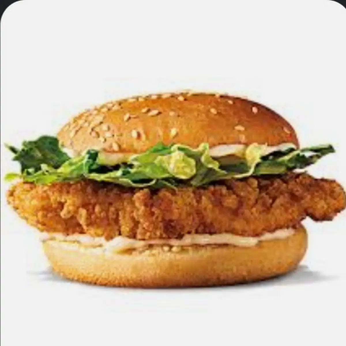 Chicken Sandwich