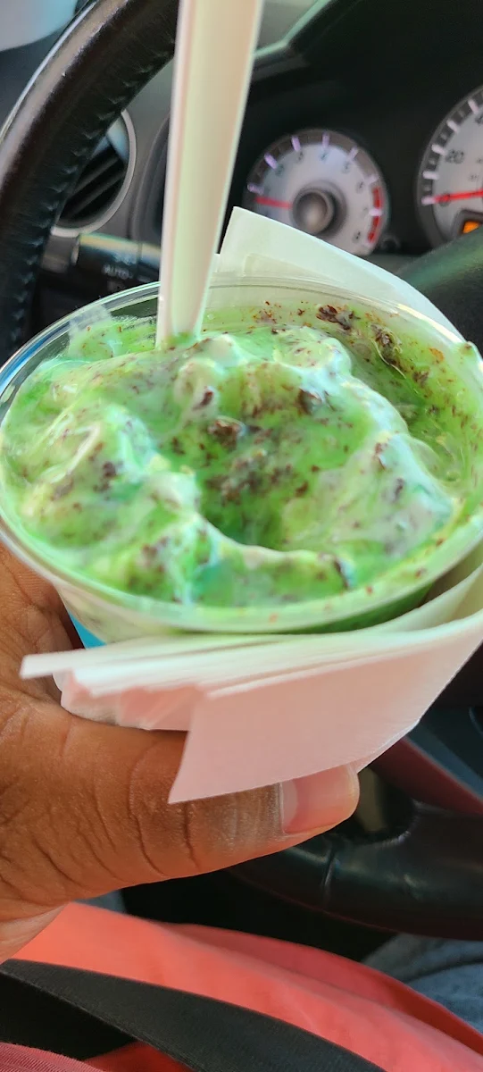 Mint Chocolate Chip