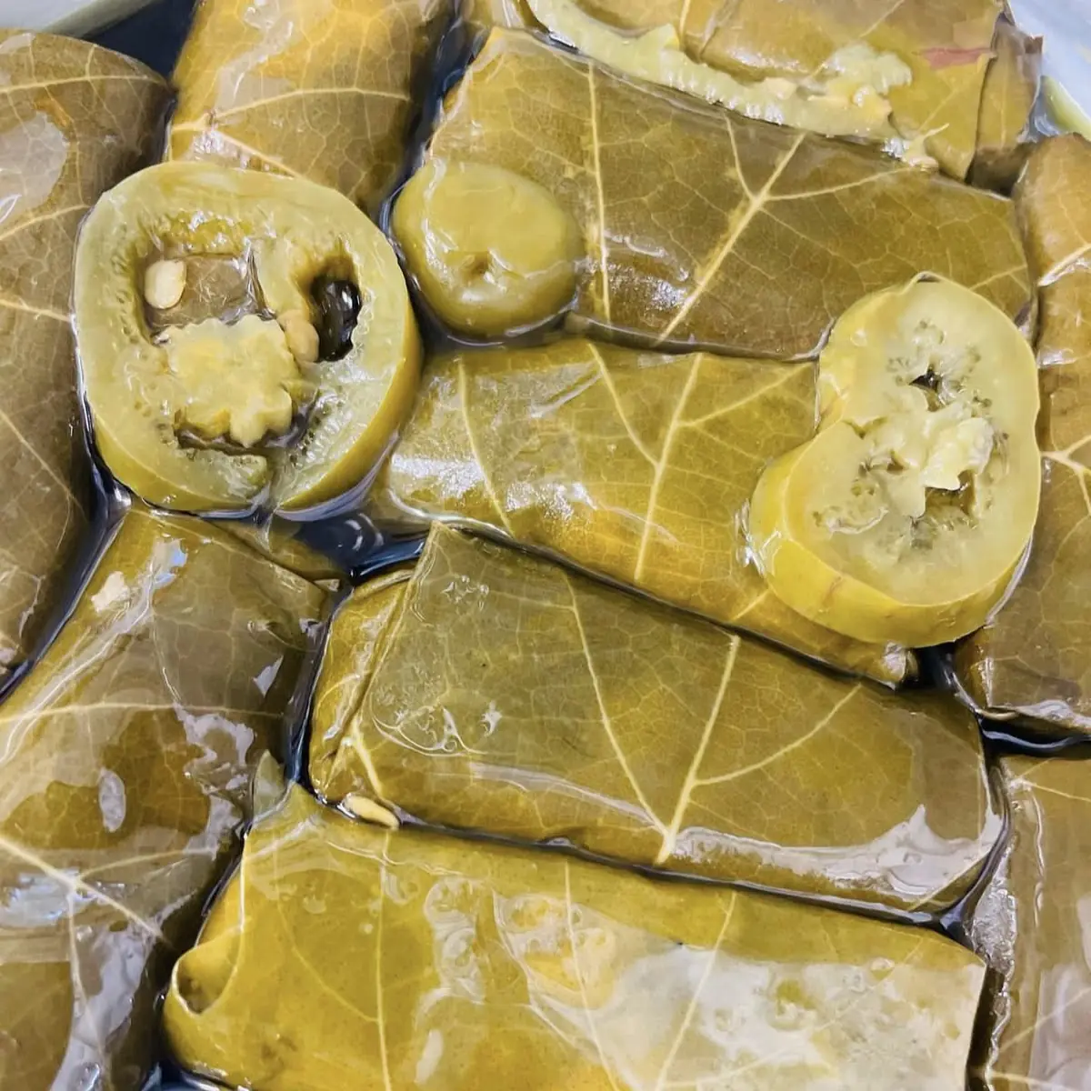 Stuffed Grape Leaves