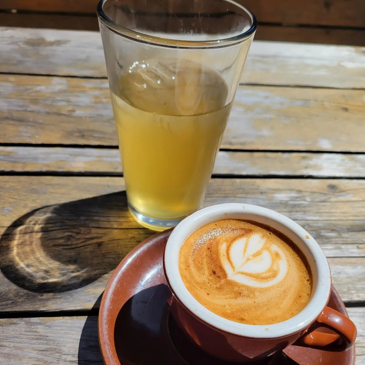 House-Made Kombucha Oat Cortado
