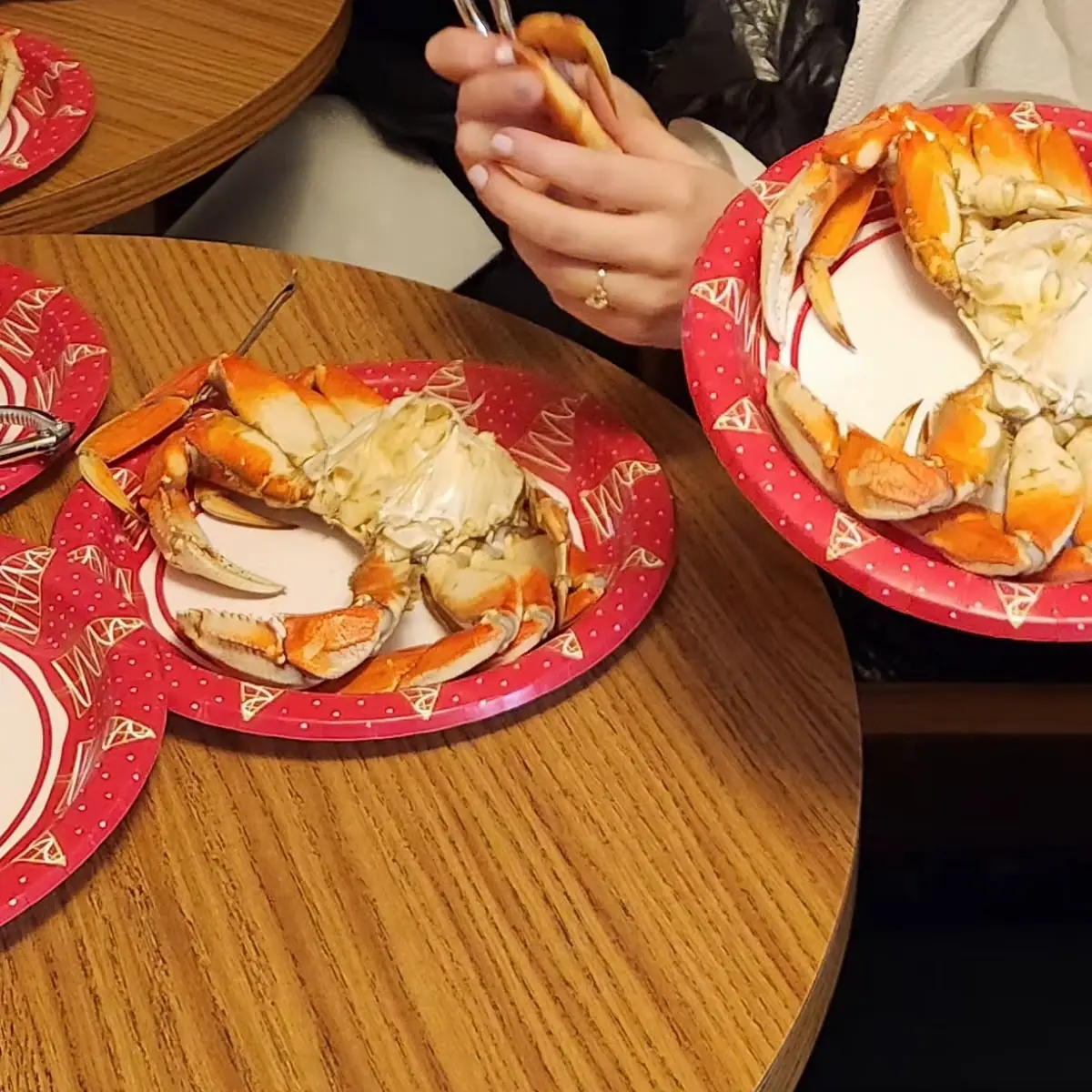 Dungeness Crab