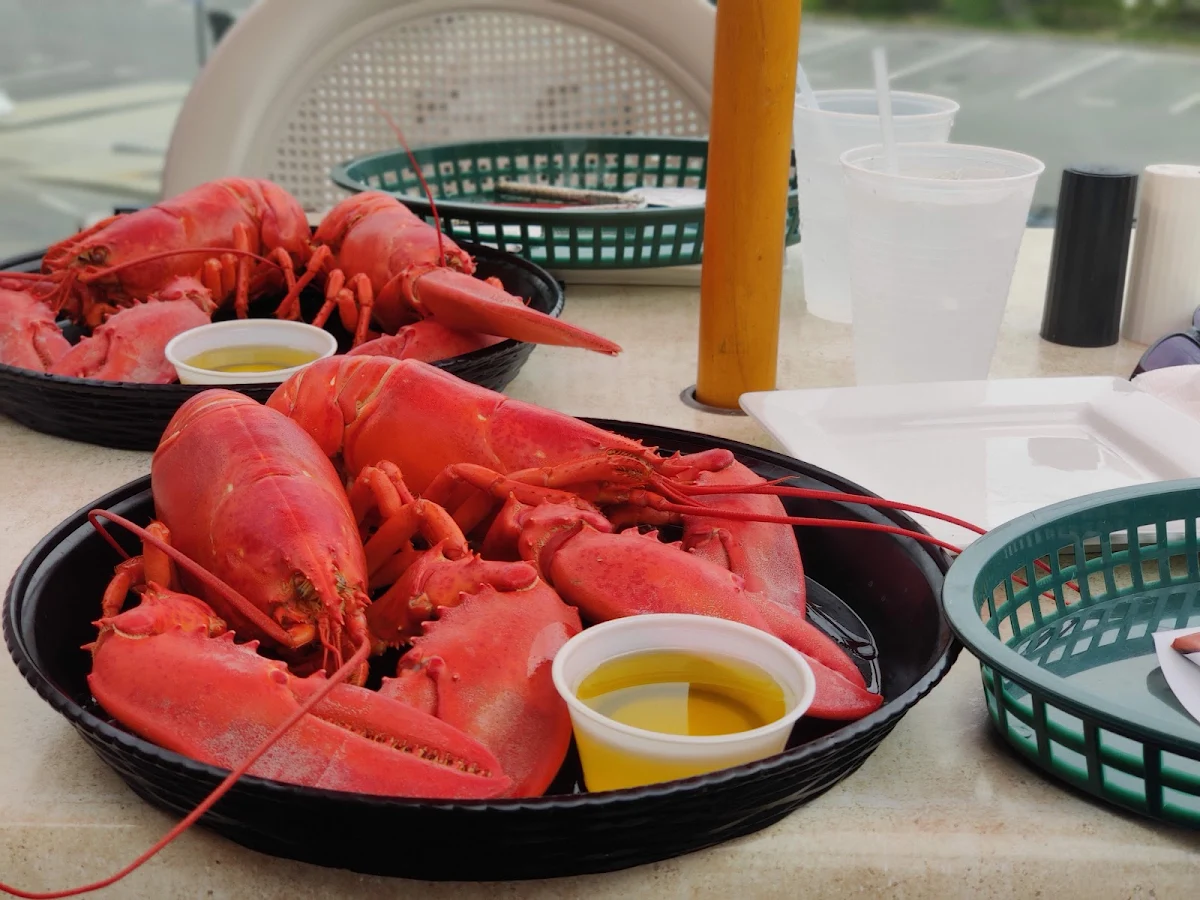 Lobster Bliders