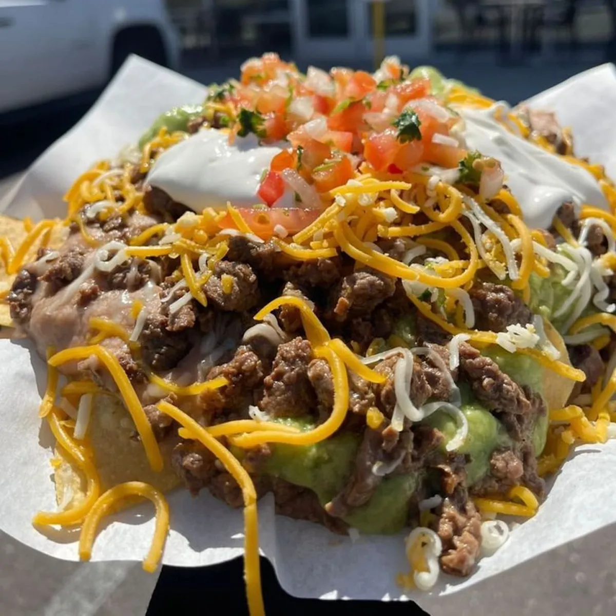 Carne Asada Fries