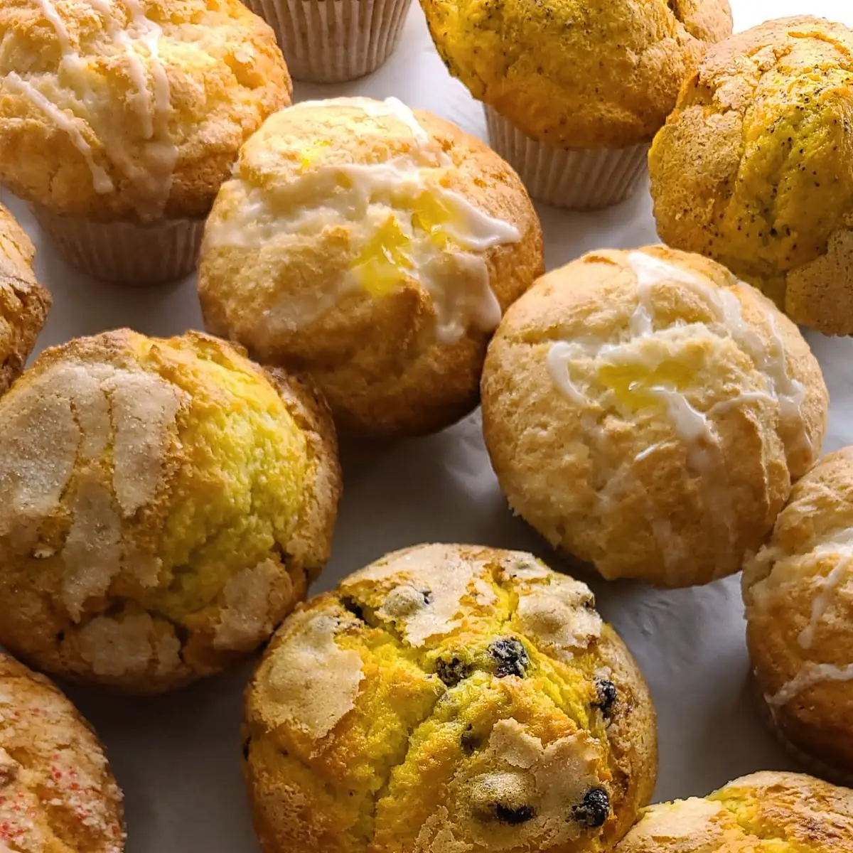 Lemon Blueberry Muffin