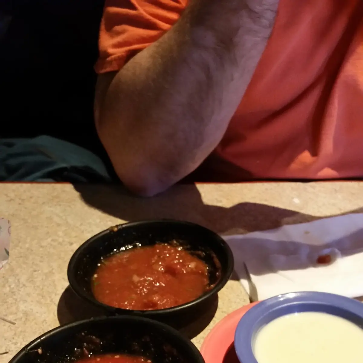 Salsa and Cheese Dip