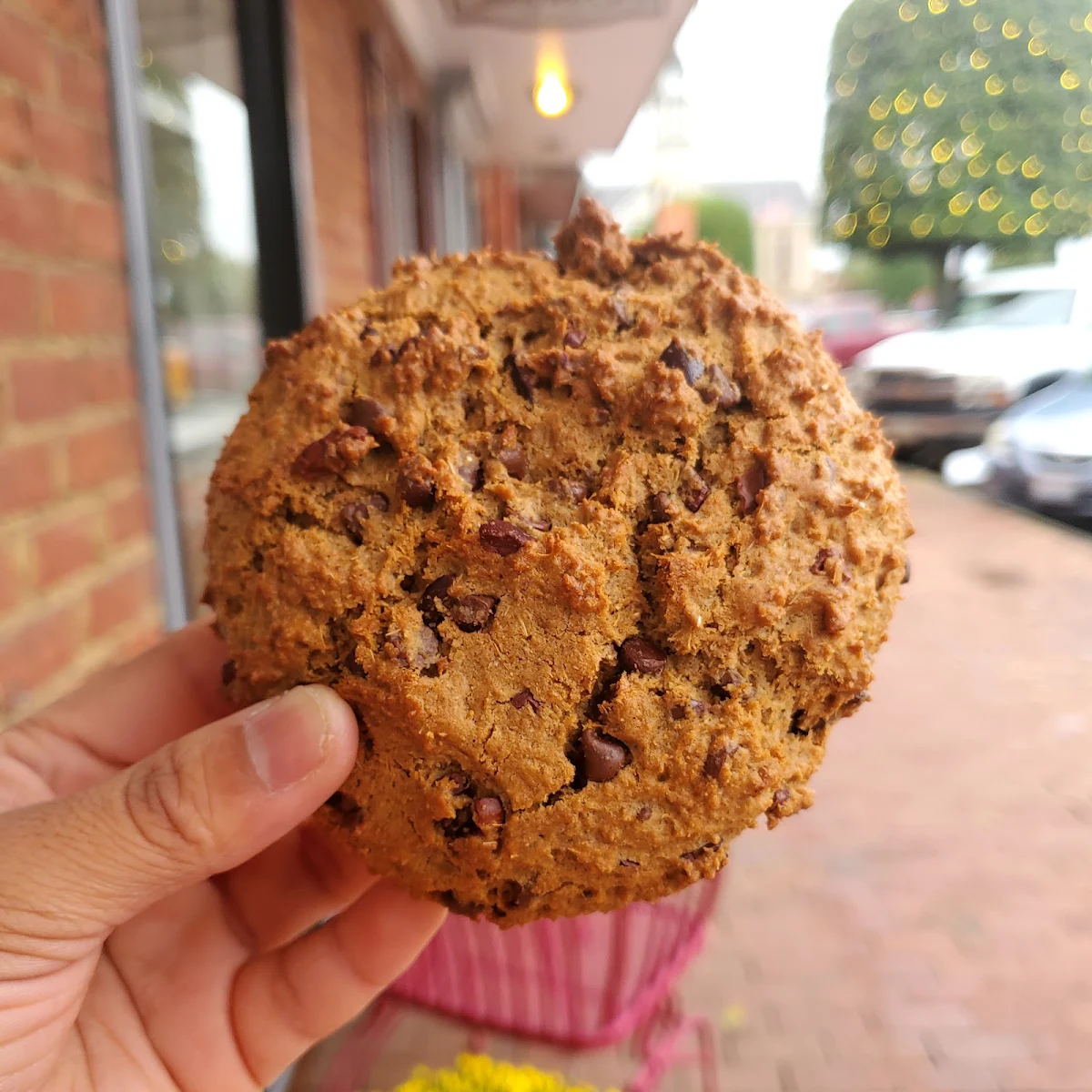 Chocolate Chip Malt Cookie