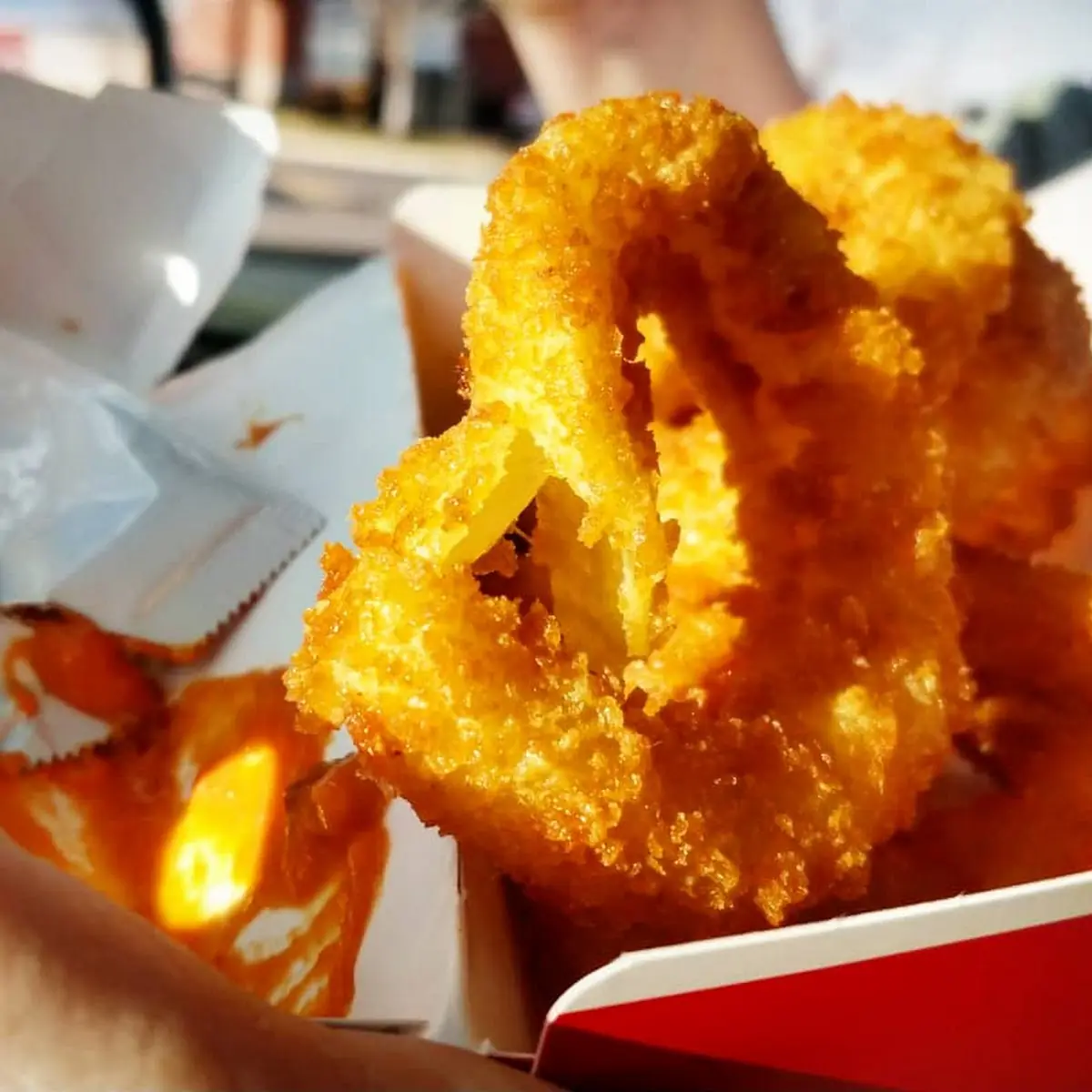 Onion Rings 8