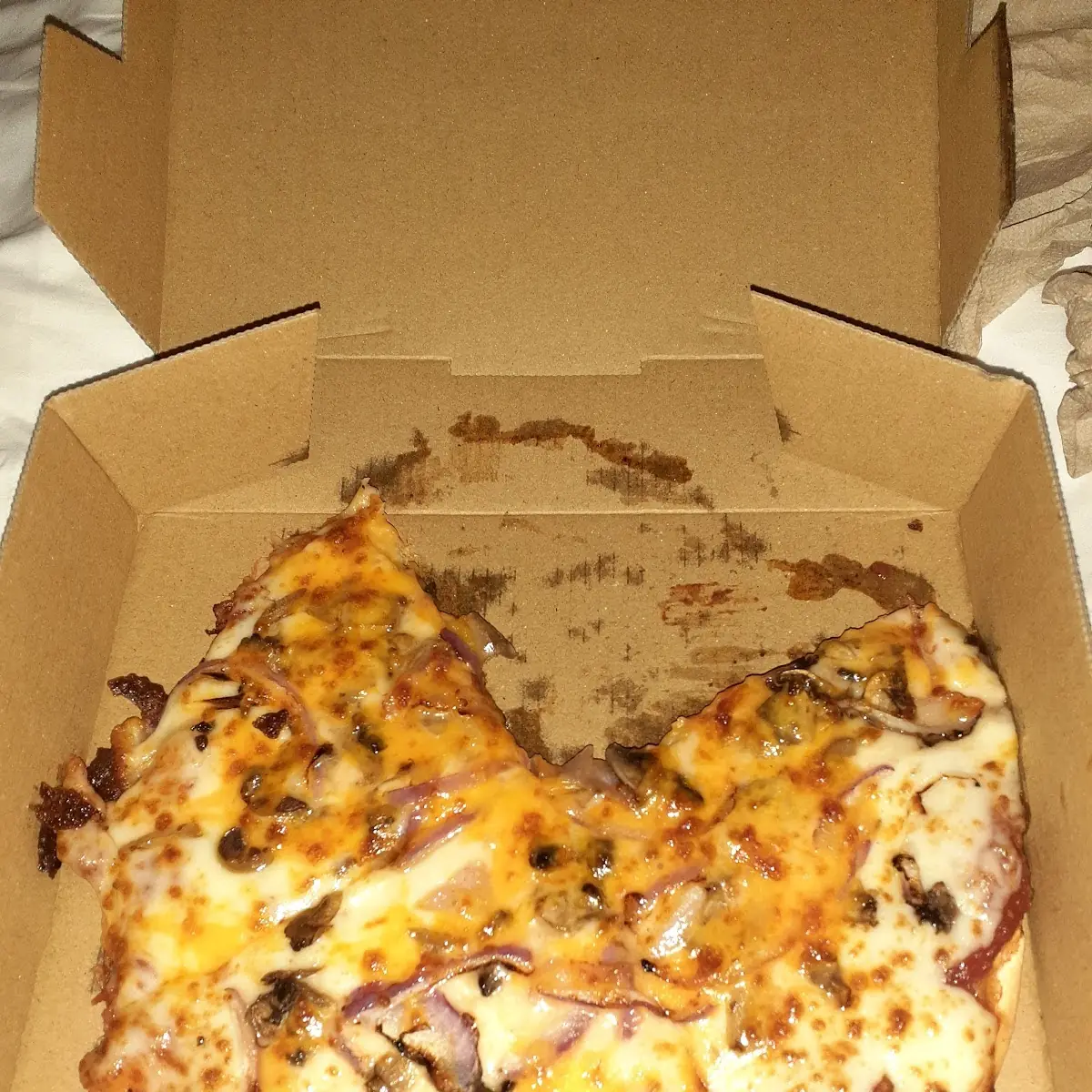 Cheese and Mushroom Pizza