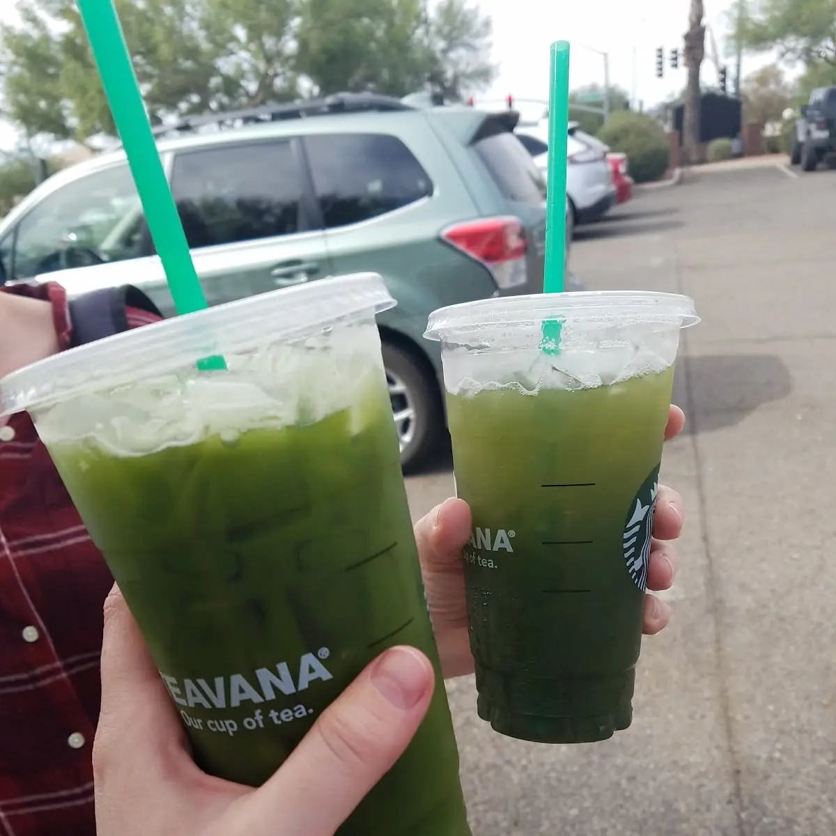 My Green Tea