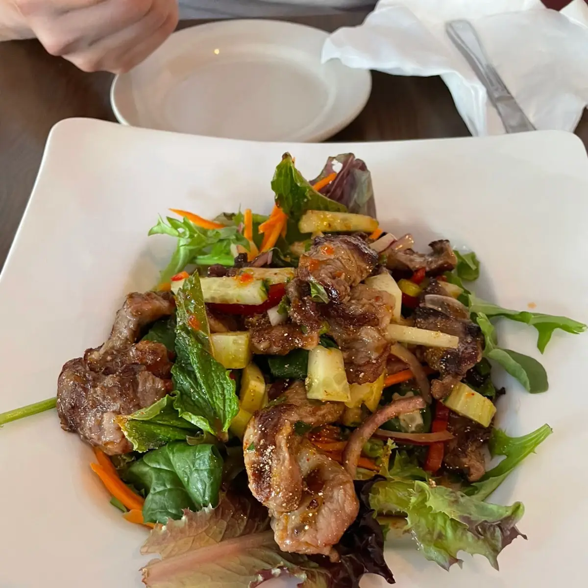 Num Tok Salad