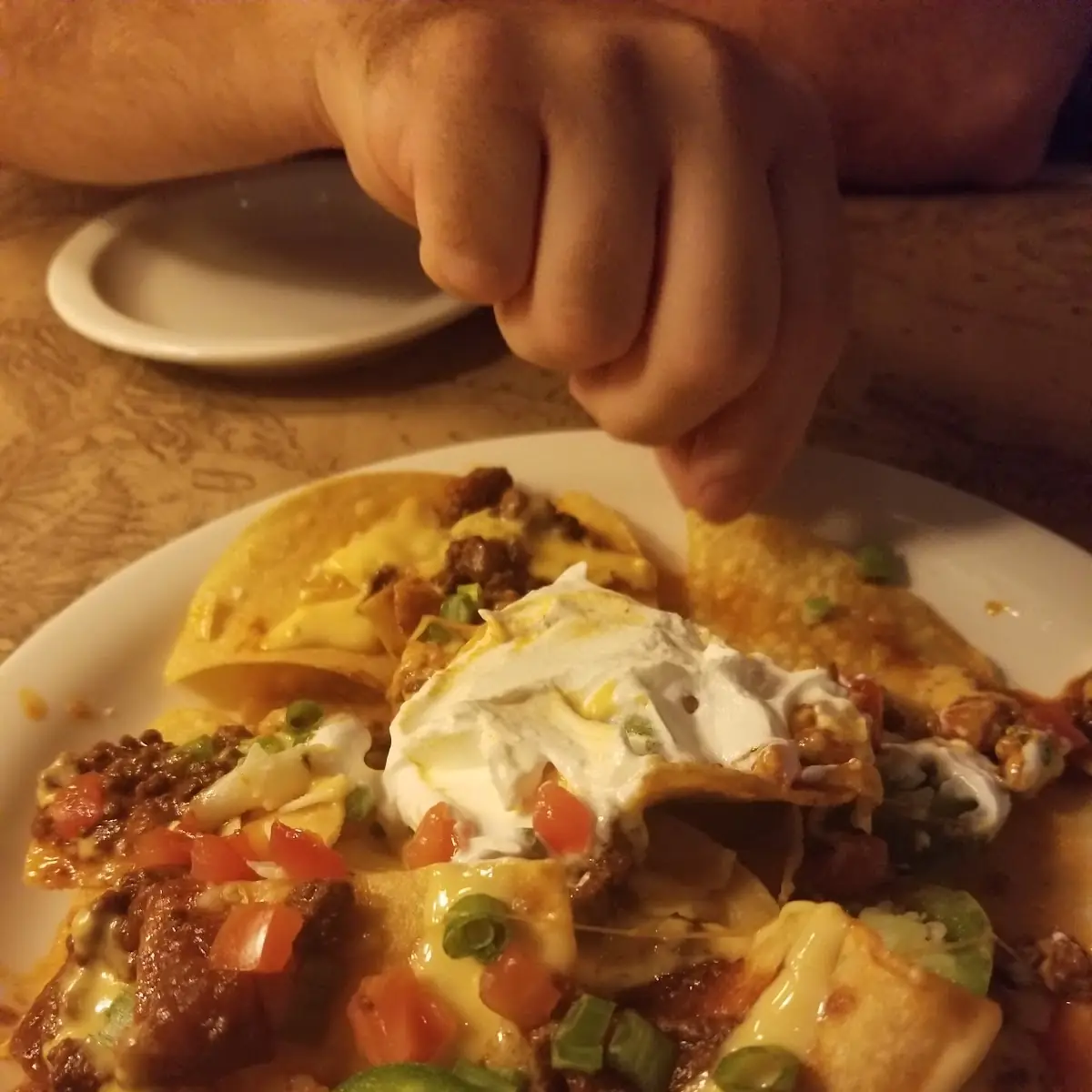 Bison Nachos Supreme