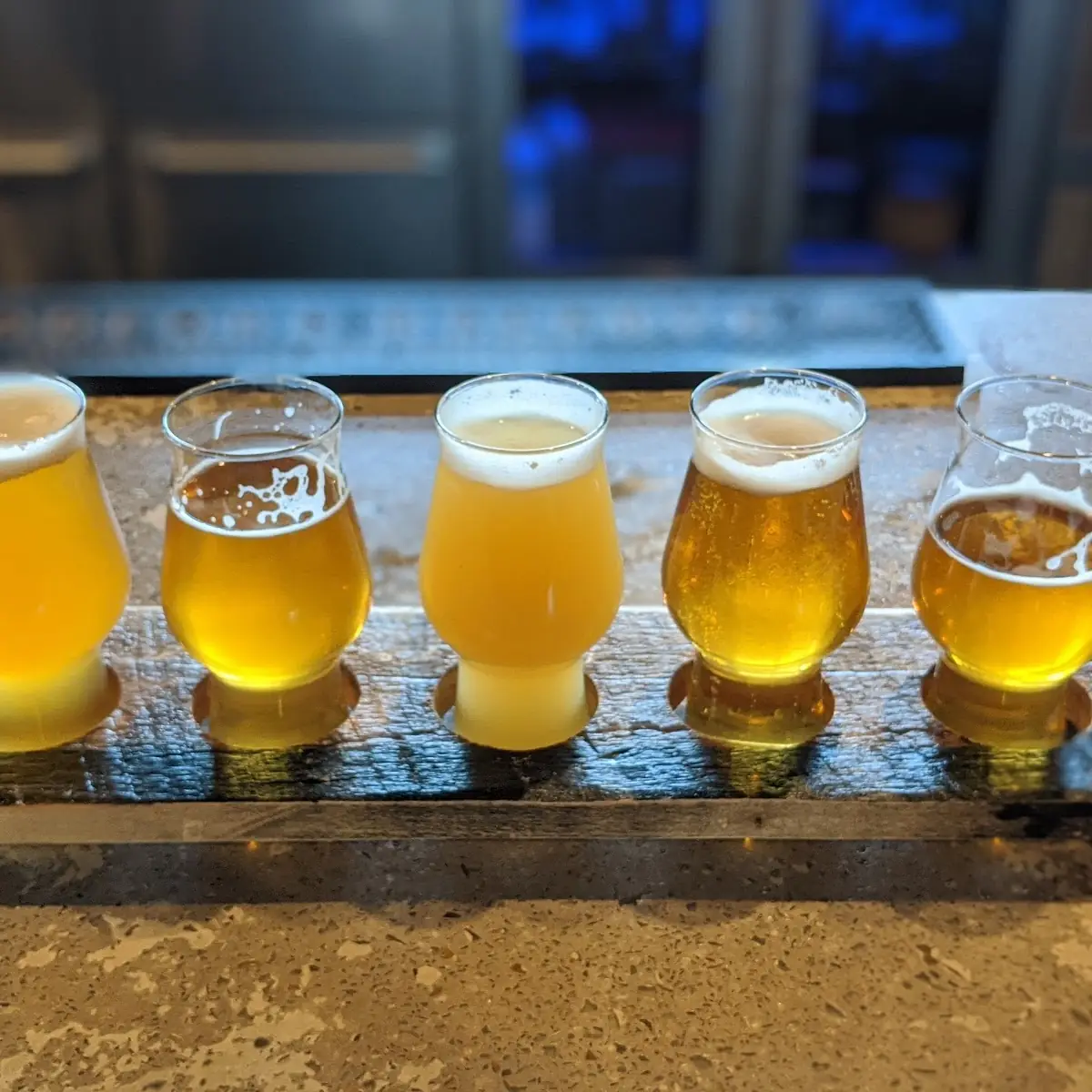 Flights Beer Sampler Platter