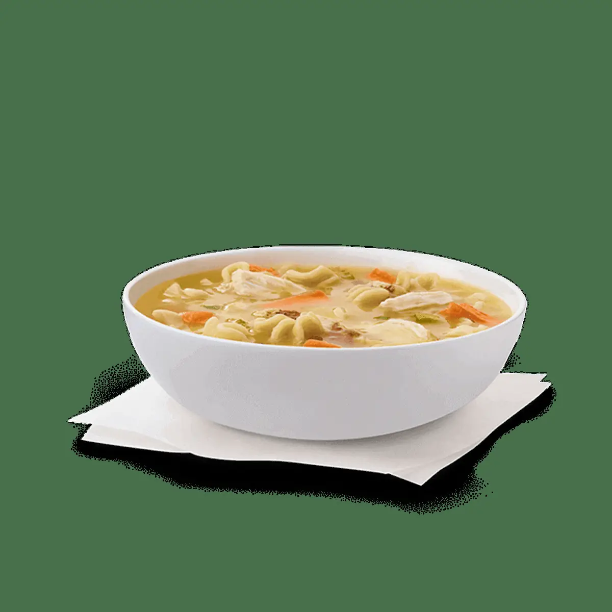 Chicken Noodle Soup