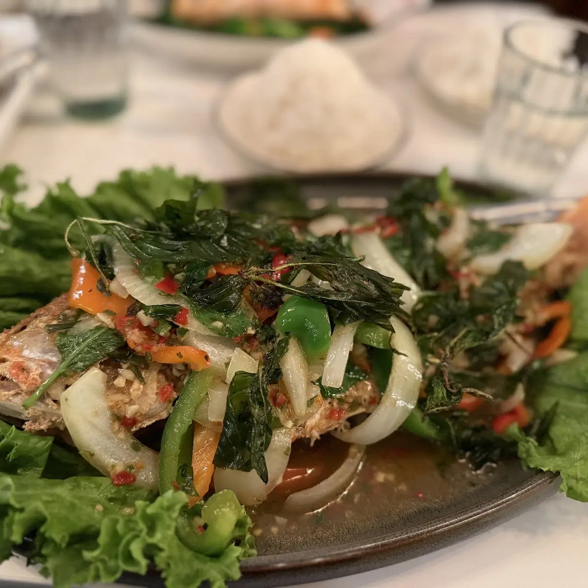 Red Snapper