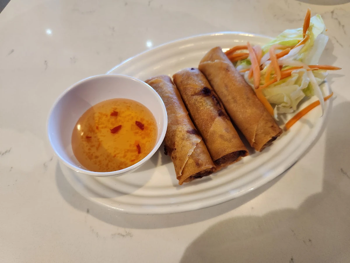 Crispy Spring Rolls