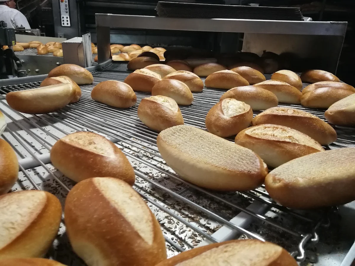 Rye Bread