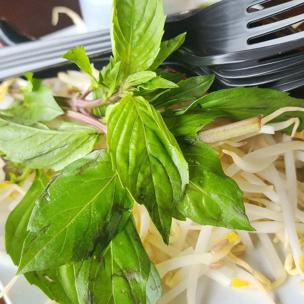 Thai Basil