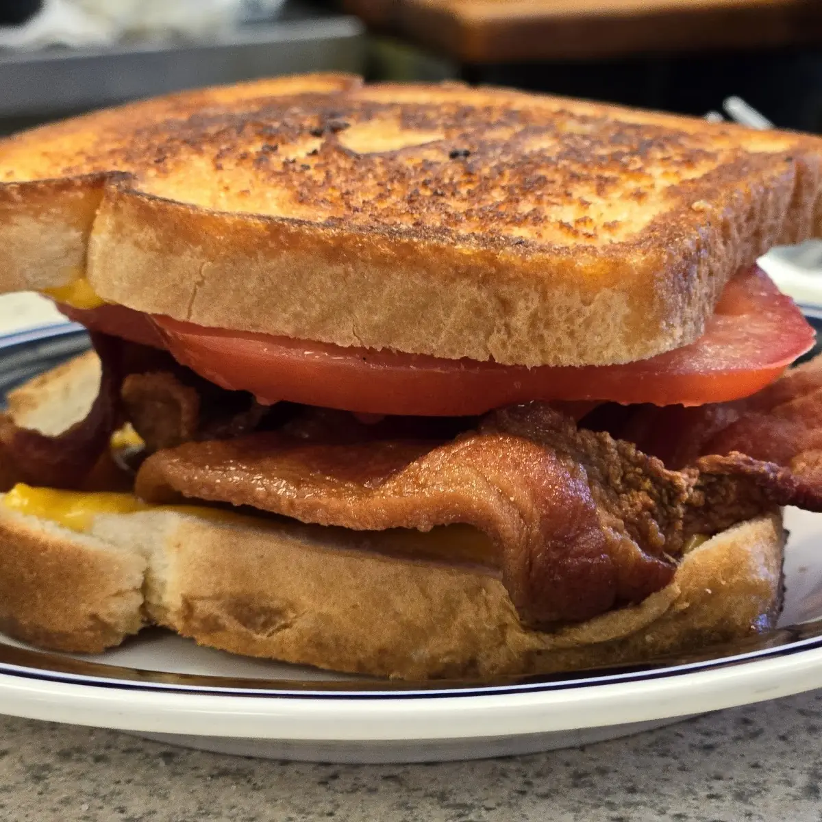 Grilled Cheese w Bacon & Tomato