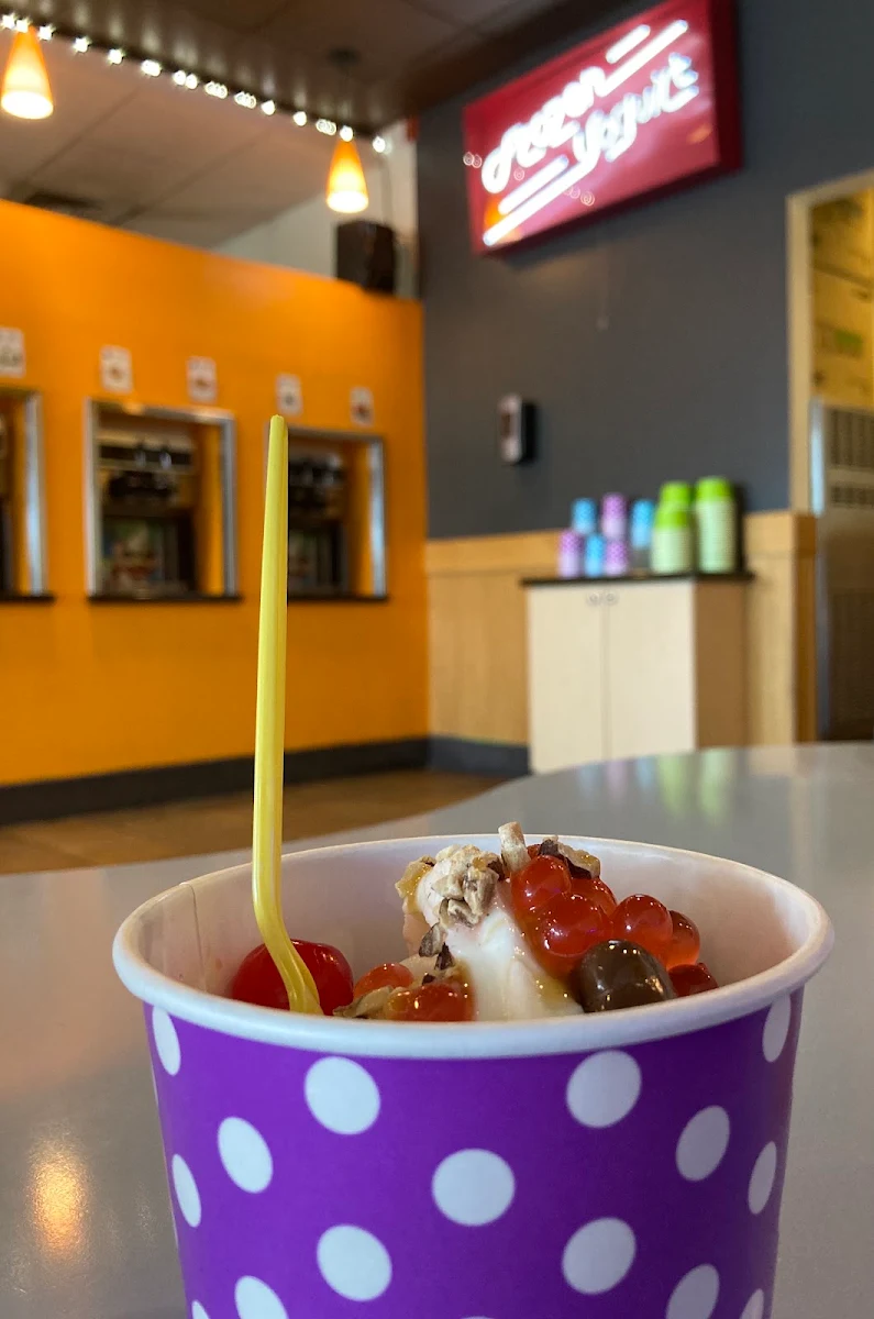 Frozen Yogurt