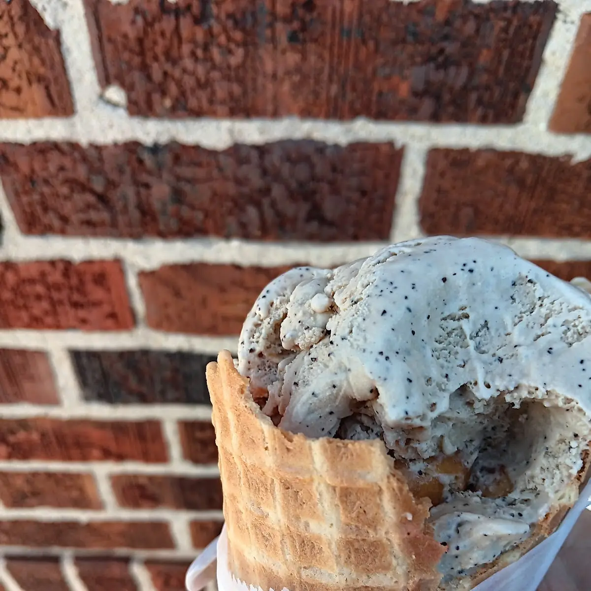 Ice Cream Waffle Cone