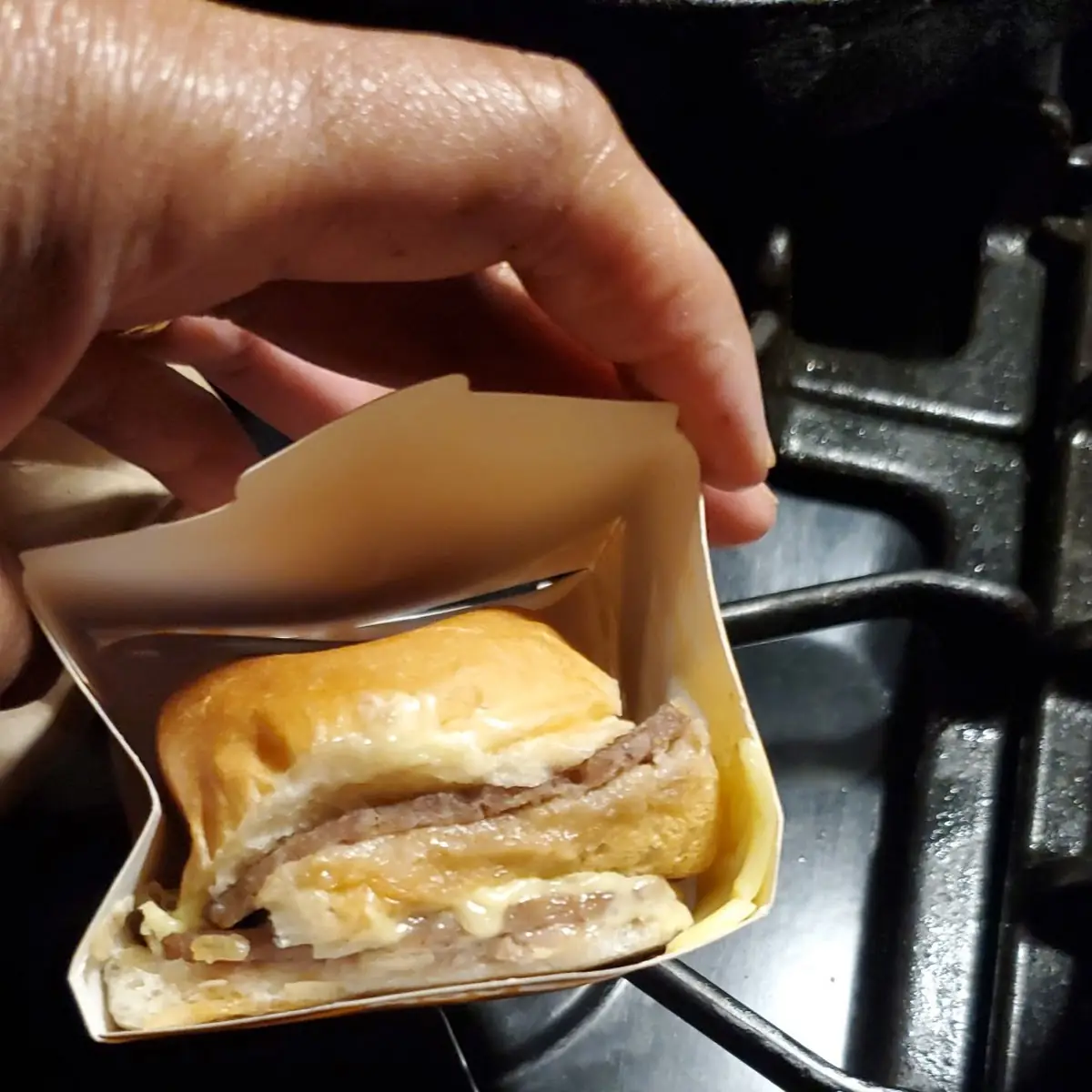Double Cheeseburger