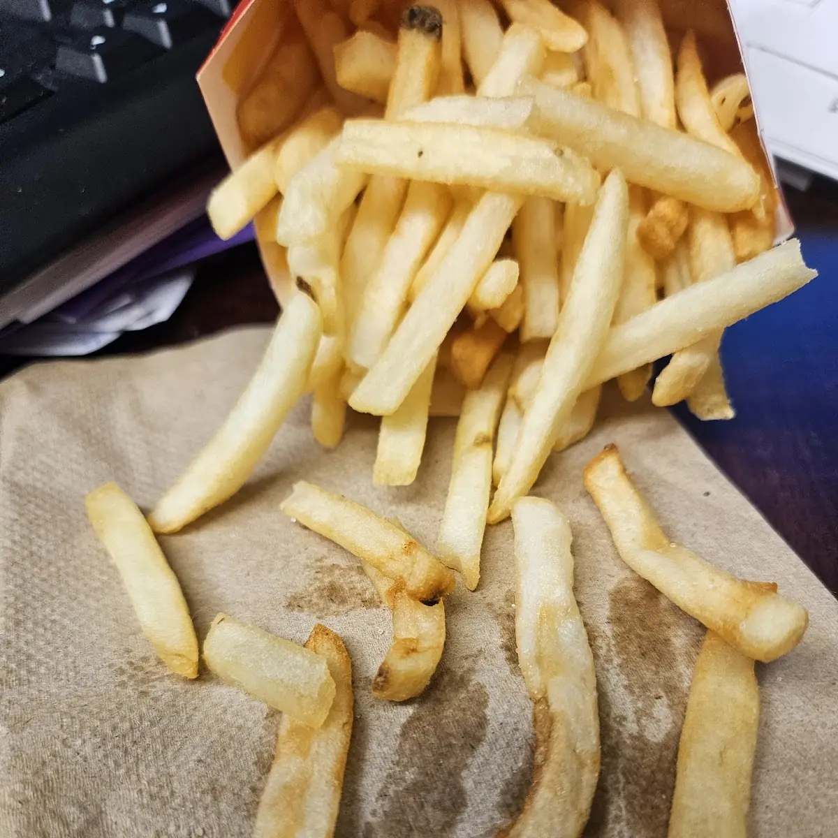 World Famous Fries