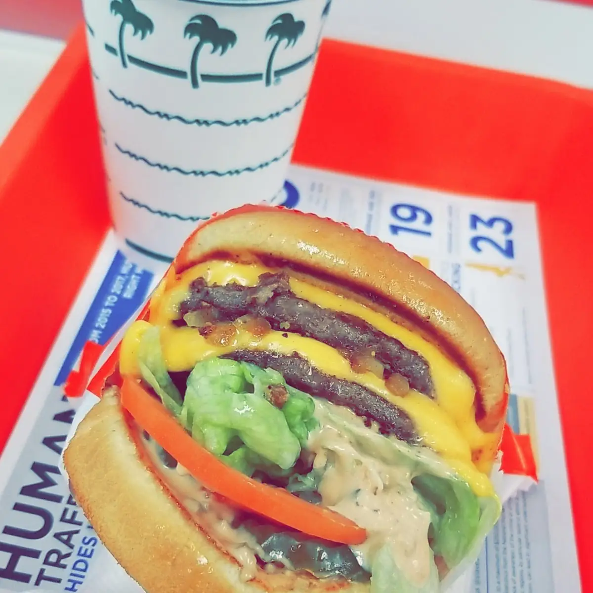Double Double Animal Style