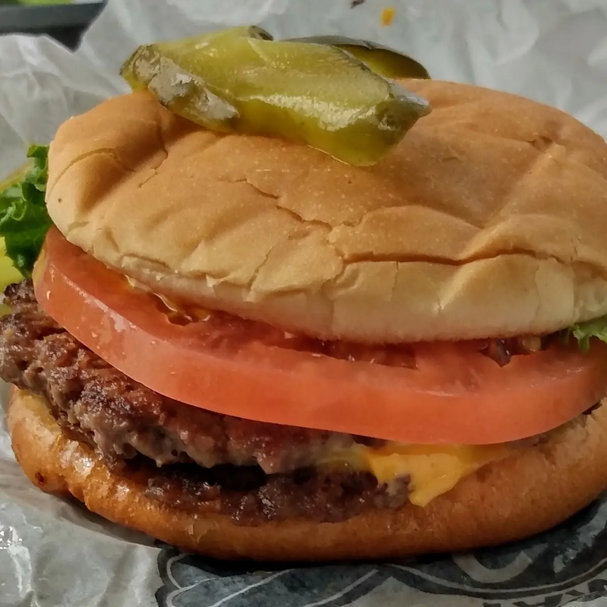 Double Cheeseburger