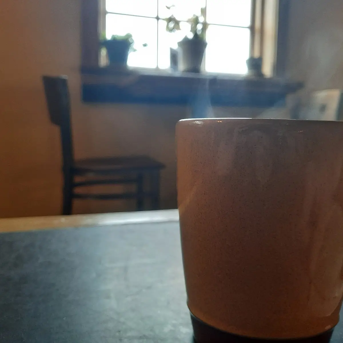 Steamed Apple Cider