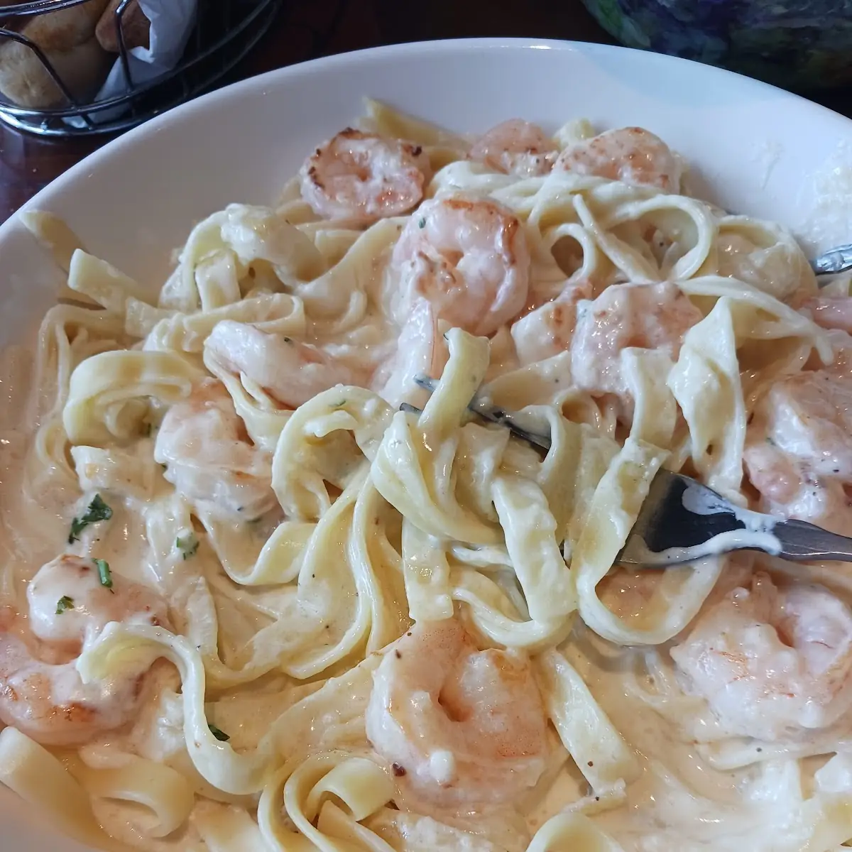 Shrimp Alfredo