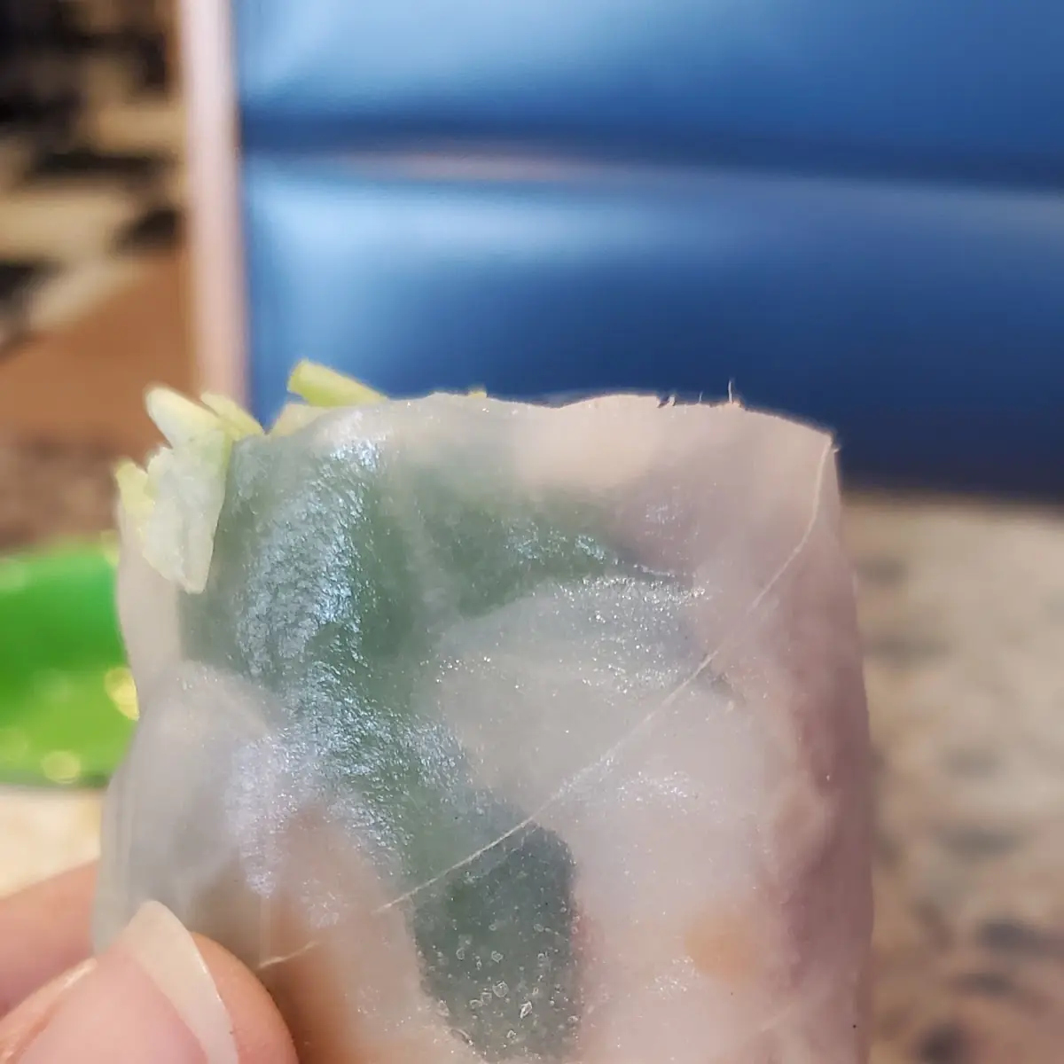 Spring Roll