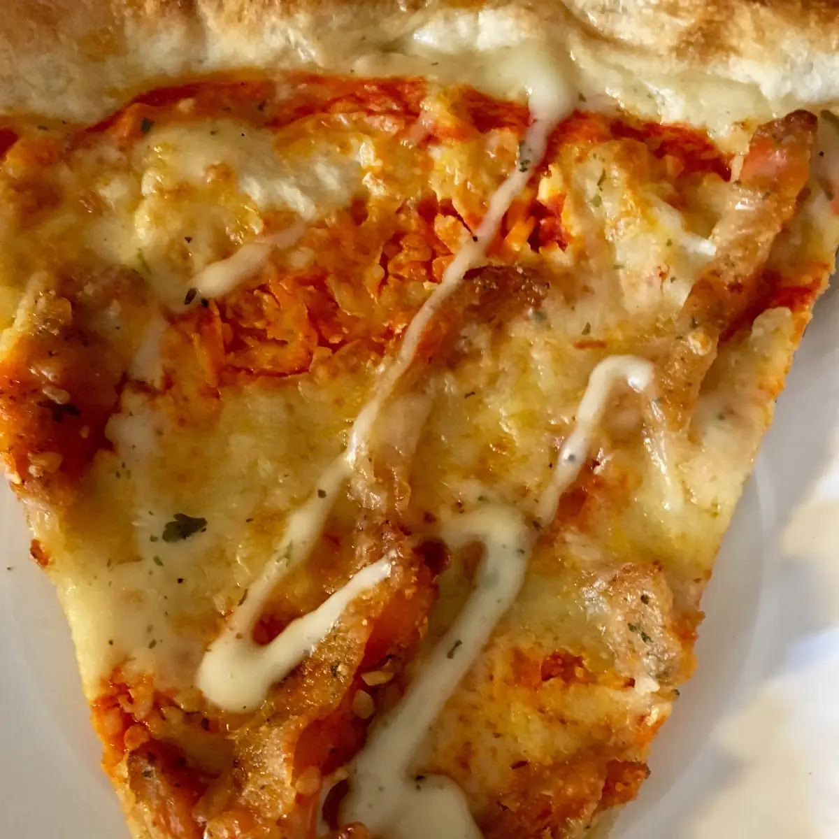 Buffalo Chicken Wrap