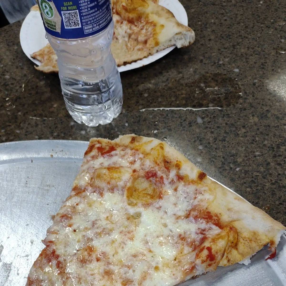 Plain Pizza