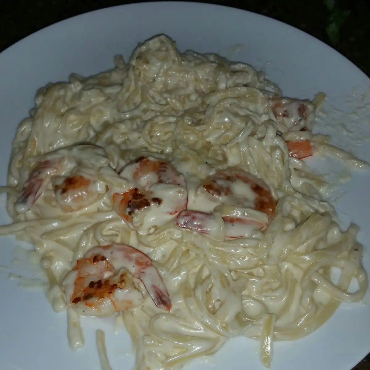 Shrimp Alfredo