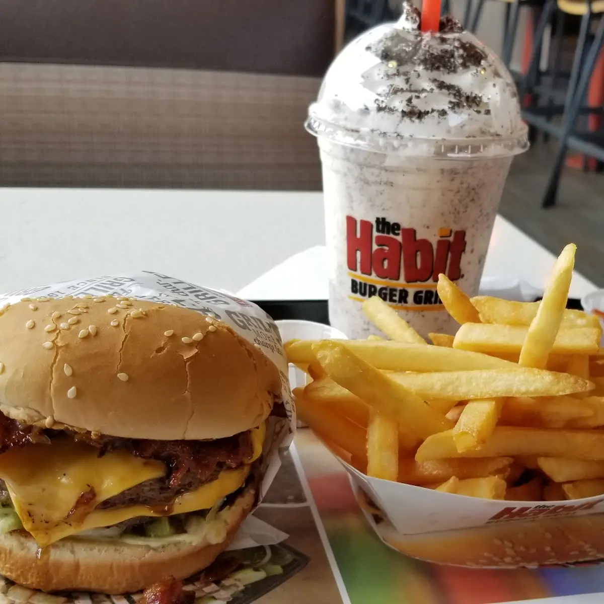 Double Cheeseburger with Fries