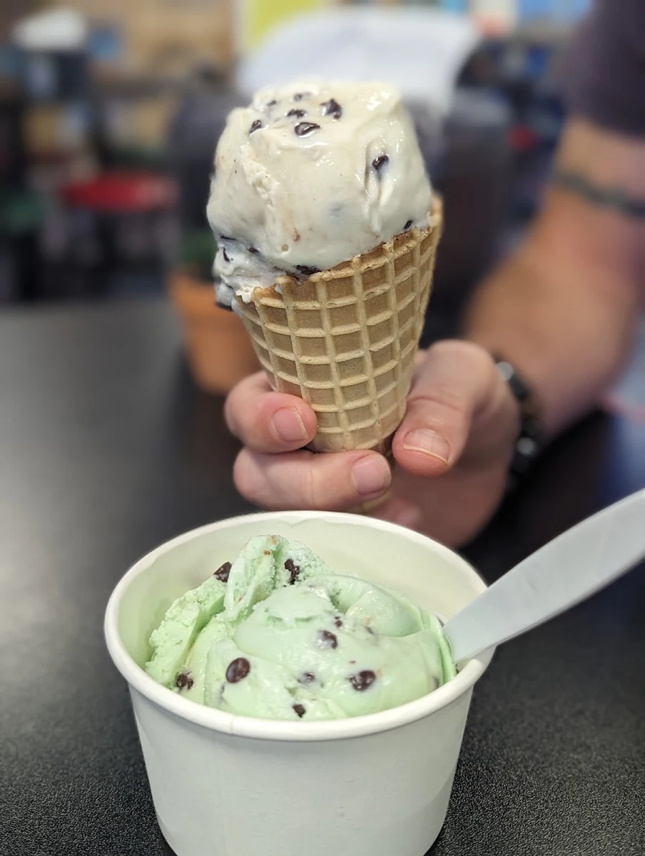 Mint Chocolate Chip & Chocolate Chip in Waffle Cone