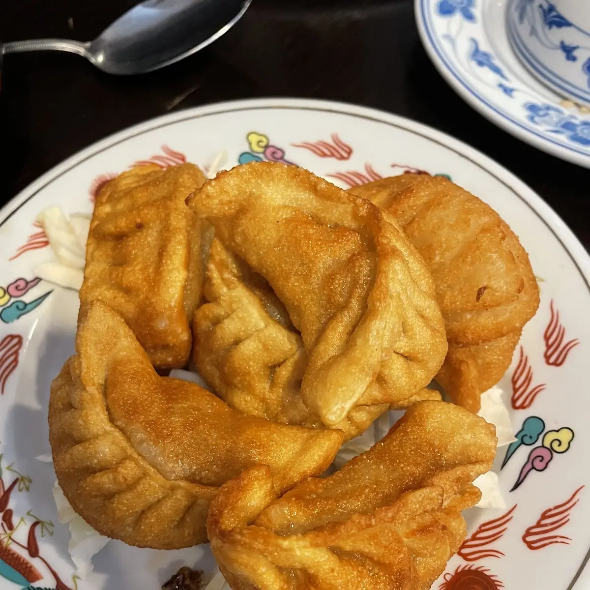 Fried Dumplings