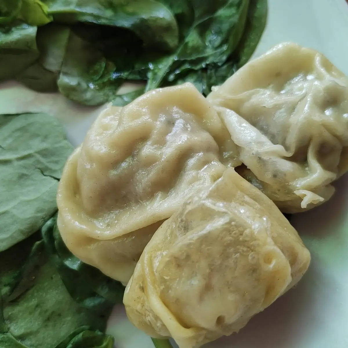 Thai Wonton Soup
