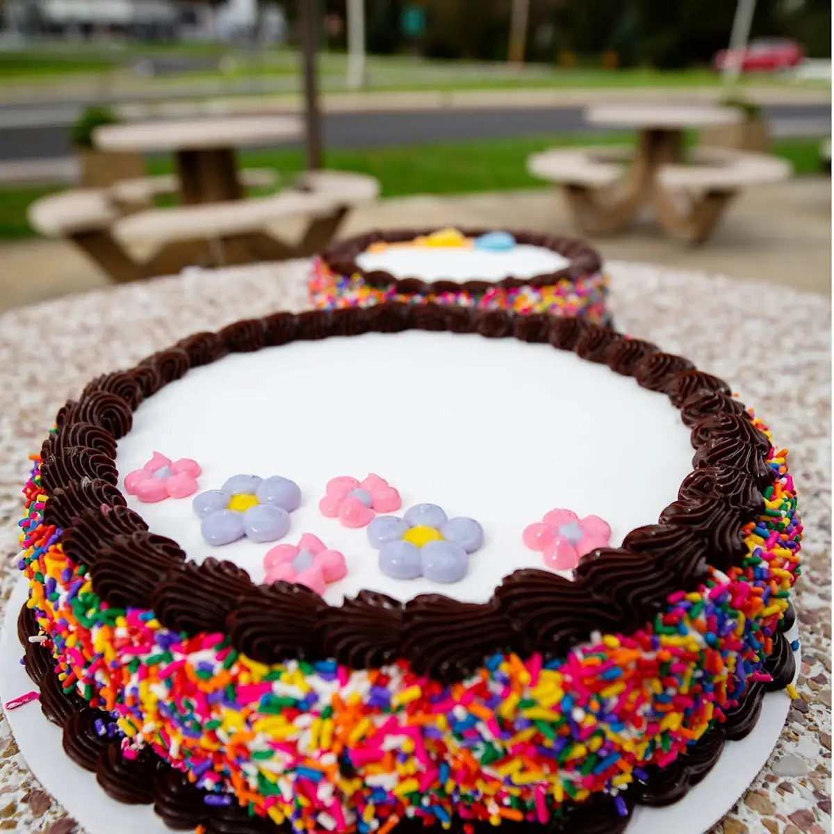 Chocolate Sprinkles CAK